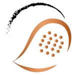 PADELZONE Friday Night Battle 🎾 Starter