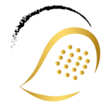 Expert Turnier TCBW Feldkirch (gespielt in der Padelzone Götzis)