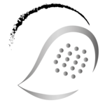 PADELZONE Friday Night Battle 🎾 Advanced